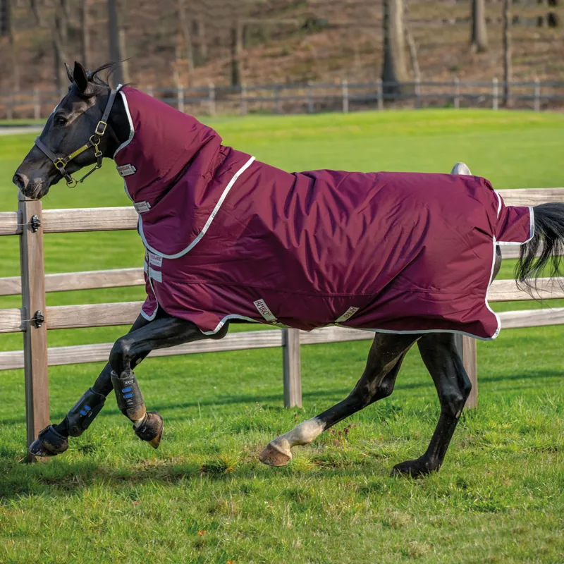 Horseware Amigo Hero Ripstop Plus 200g Turnout Rug - Fig/Silver